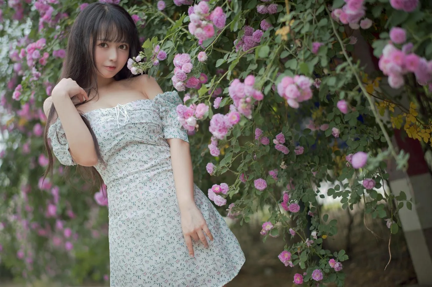 黑猫猫OvO – NO.23 蔷薇2 [27P]插图3